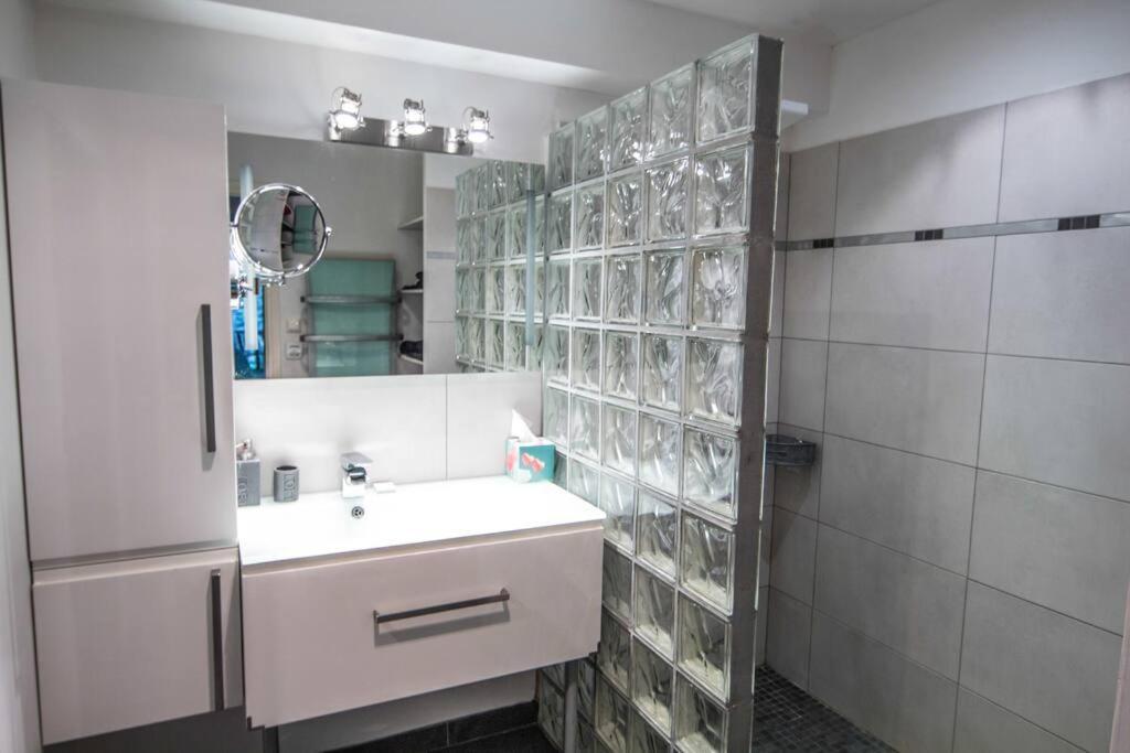 Appartement Avec Jardin Interieur 4 Pers Centre Ville Nemours Extérieur photo